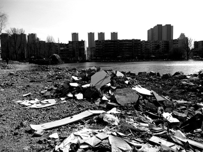 建筑垃圾处理：中外嘉宾共论生态城市和固体废弃物资源化利用